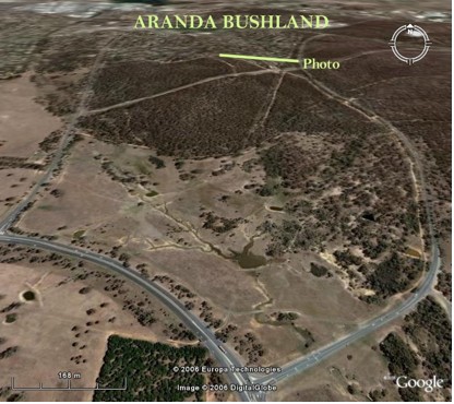 Aranda Bushland Remnants