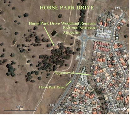 Horse Park Drive, Ngunnawal Remnants