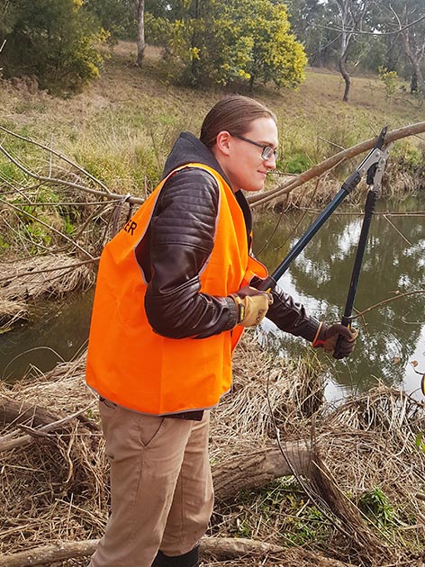 Photo: Umbagong Landcare Group members removing woody weeds, and during ...