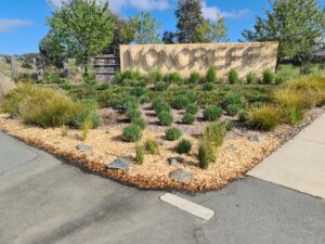Moncrieff suburb sign with mulched garden bed in front.